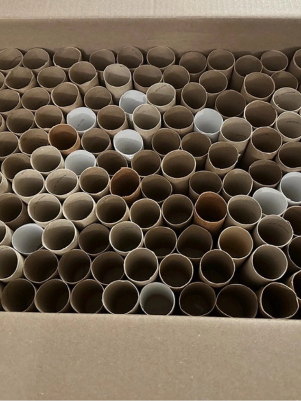 190 Cardboard Toilet Paper Tubes great for crafts